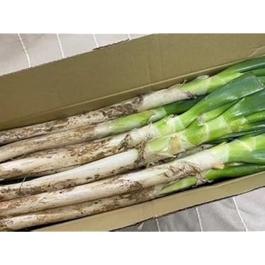 Amazon.co.jp 売れ筋ランキング: ねぎ の中で最も人気のある商品です